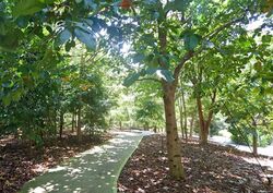 Capitol Park (D11), Detached #619481901